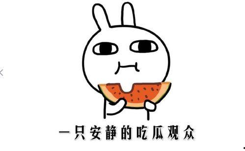 吃瓜新闻是新闻吗,揭秘网络时代的“瓜田”现象